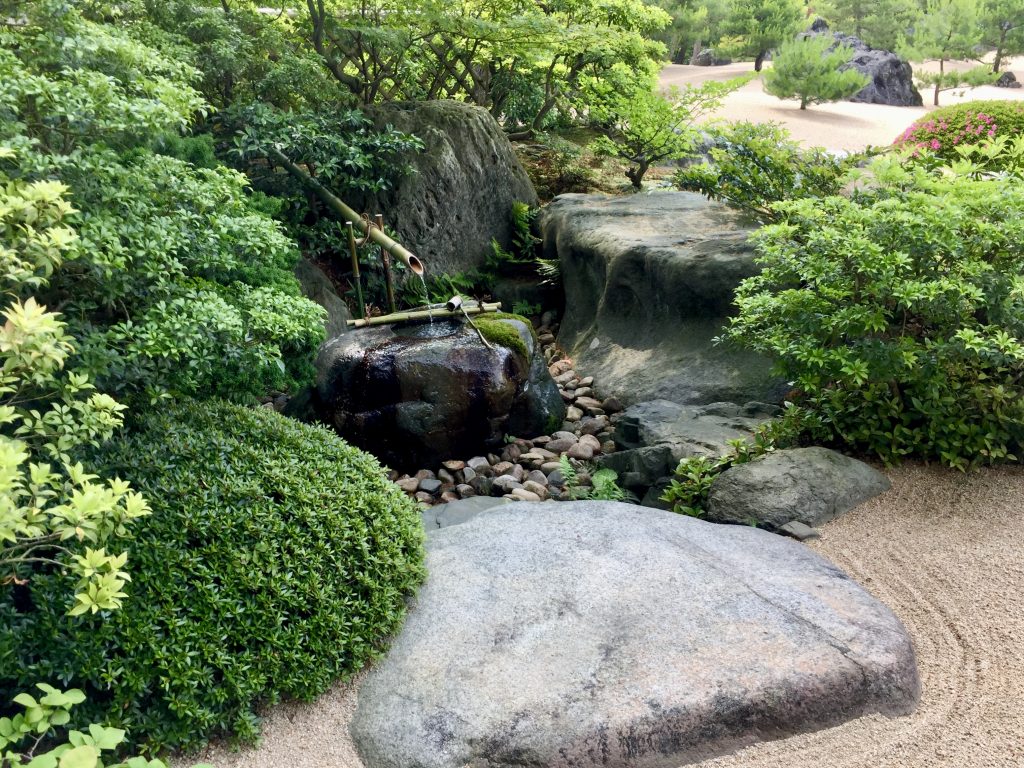 Japanese garden landscape