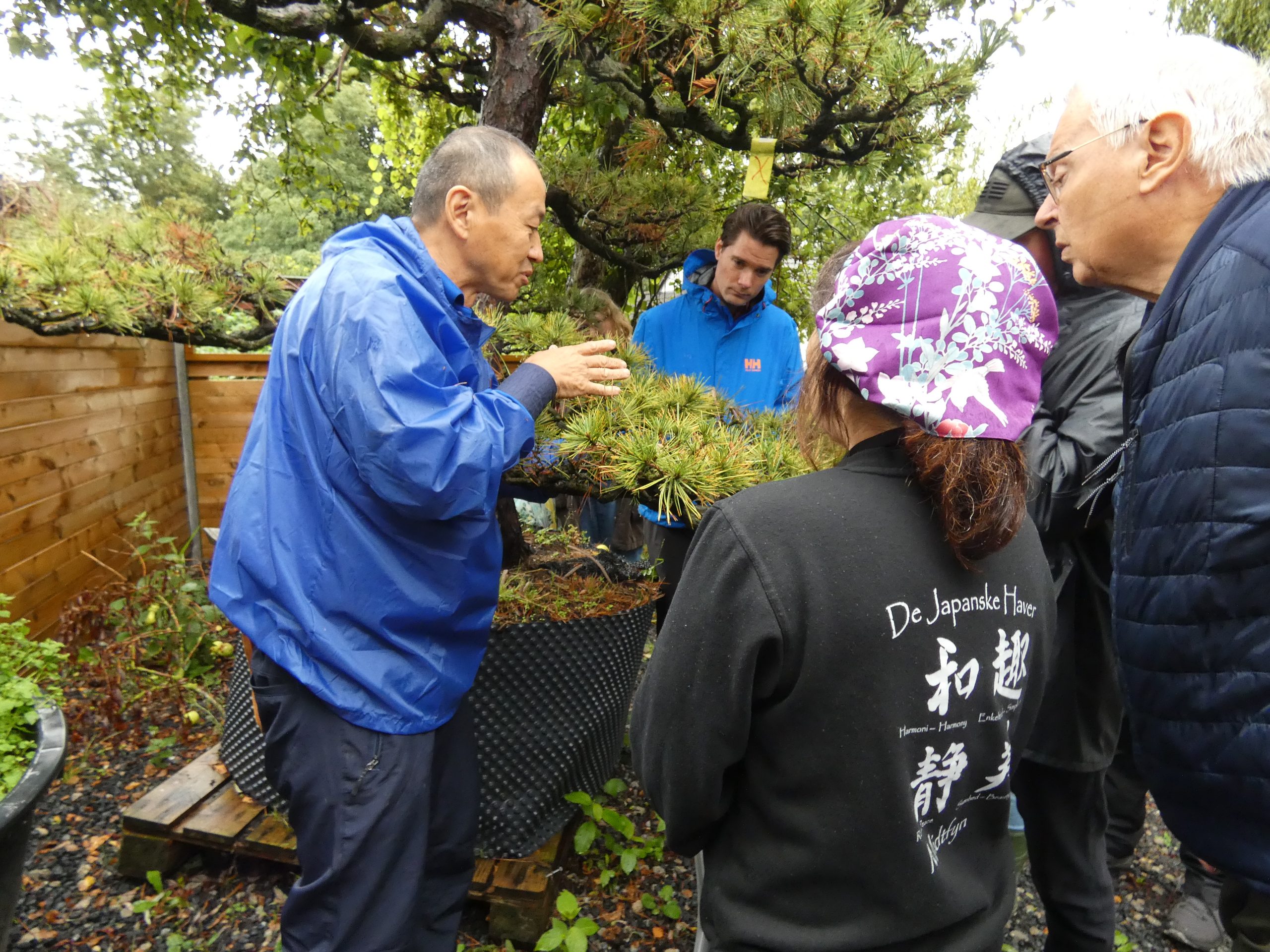 Pine Pruning workshop